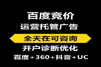 某电商平台的SEM策略与效果展示